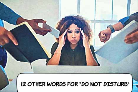 Other Words for Do Not Disturb