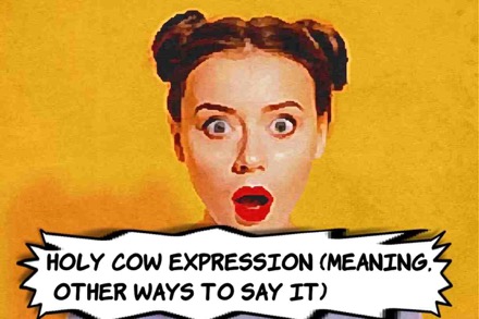 Holy Cow Expression