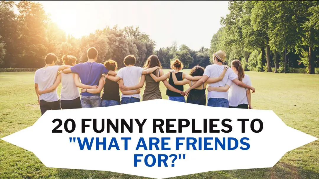Funny Replies to What are friends for?