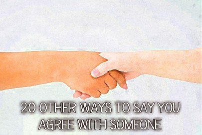 Other Ways to Say You Agree with Someone